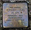 Stolperstein für Bernard Haas