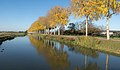 Elst, view to the Linge in the autumn