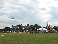 Kite Festival op de Heath