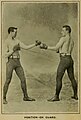 Manuale di boxe del 1904