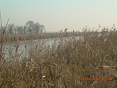 Naturschutzgebiet Oasi di Porto