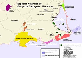 Situación de los enclaves dentro de la Región de Murcia (verde oscuro).