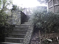 Bluestone steps