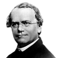 190px-Gregor_Mendel.png