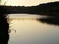 Hengistbury Head