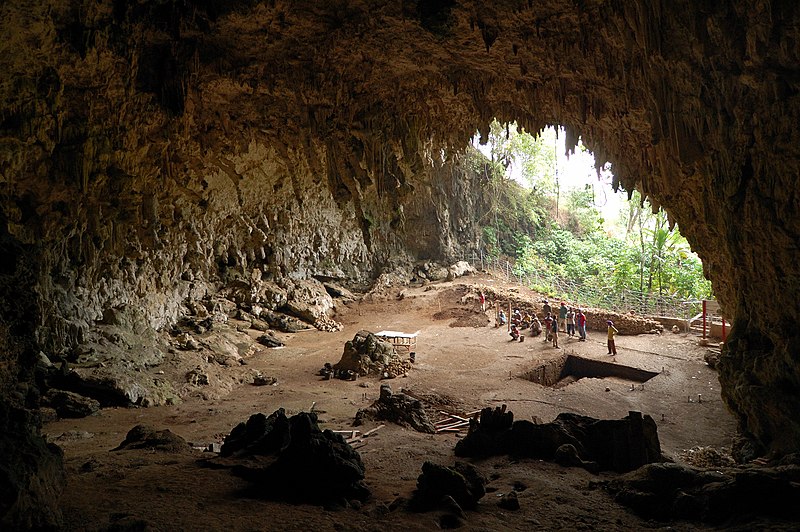 Berkas:Homo floresiensis cave.jpg