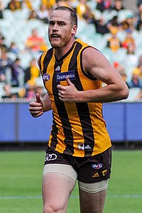 Jarryd Roughead 2017.2.jpg