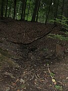 Kreuzquelle im Elm oberhalb Bornum, Getop GTP 3730/08.