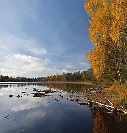 Nõmmejärvi Kurtnassa