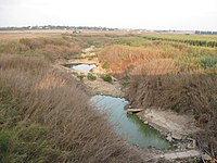 מבט מגשר הכניסה לאשדוד (שדרות בני ברית) מזרחה על נחל לכיש