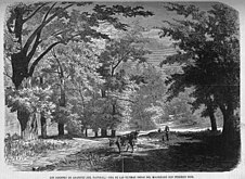 アランフエスの庭園 (1868年)[17]
