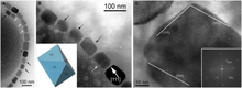 Magnetite magnetosomes in Gammaproteobacteria strain SS-5. (A) Chain of highly elongated magnetosomes. (B) Part of a magnetosome chain. (C) The magnetosome in the lower right in (B), viewed along the
[
1
1
-
0
]
{\displaystyle \scriptstyle [1{\overline {1}}0]}
direction, with its Fourier transform in the lower right. Magnetite magnetosomes in Gammaproteobacteria.png