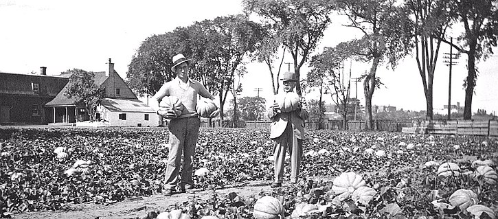 Le melon de Montréal. Champ de melons à coteau Saint-Pierre (Notre-Dame-de-Grâce) en 1925.