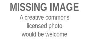 Missing image text.svg