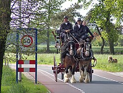 Het boek "Waaien doet Draaien" wordt per postkoets over de postweg naar de molen gebracht.