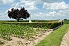 Munich Trench British Cemetery