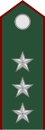 Норвегия-Армия-OF-2 WW2.svg
