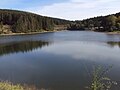 Blick über die Wasserfläche des Oberen Grumbacher Teiches