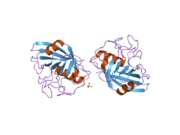 2he9: Structure of the peptidylprolyl isomerase domain of the human NK-tumour recognition protein