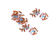 2hxy: Crystal structure of human apo-eIF4AIII