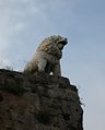 Il leone etrusco sulle mura