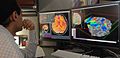 A researcher analyzing functional MRI images of the brain