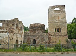 Widok ogólny na ruiny huty