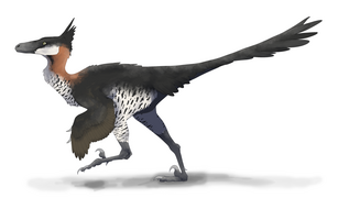 Saurornithoides mongoliensis restoration