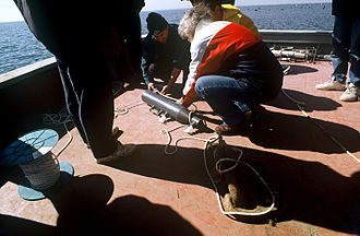 Sediment trap deployment in Thermaikos Gulf, Greece, 2000. The sediment trap has H/D 5.5, internal diameter 127 mm, and a net at the top. The sediment trap had been cast at 25-30 m depth and 3 m above seabed. The anchor (chain) of the mooring can also be seen. Sediment trap Thermaikos 2.jpg