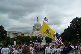 Tea Party protestosunda Gadsden bayrağı.