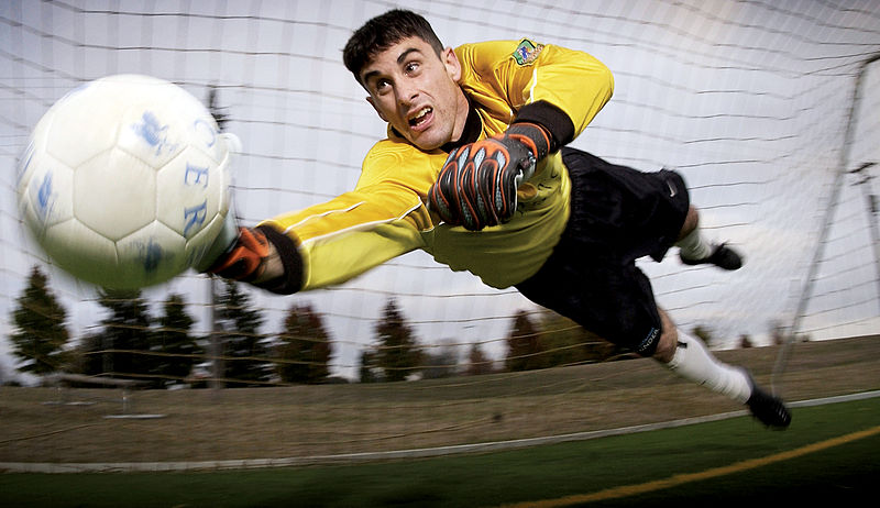 Fitxer:Soccer goalkeeper.jpg