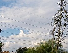 Example of a castellanus cloud formation Stratocumulus castellanus 3oct.jpg