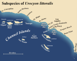 Mapa de distribución de las diferentes subespecies