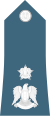 Syria Air Force - OF04.svg