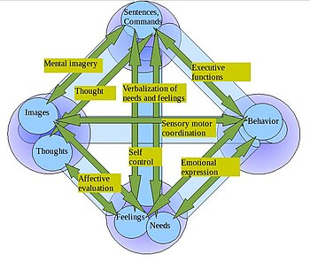 Transitive Inference Definition Psychology