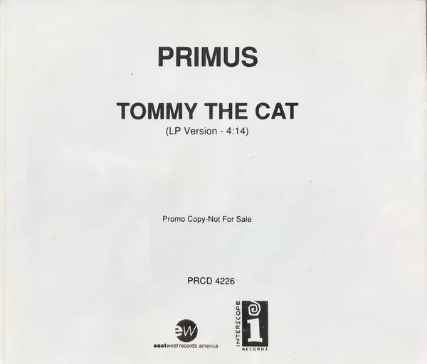 File:Tommy the Cat.webp