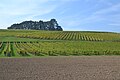 Vignes, Choulex (3 octobre 2014)