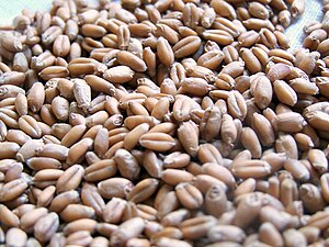 Wheatberry refers to the entire kernel of whea...