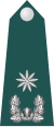 Junior commander