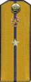 погоны 1956