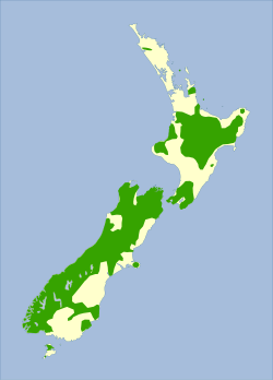 Área de distribución de Acanthisitta chloris