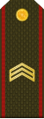 Armenia-Army-OR-5.svg