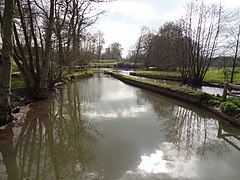 Les deux caneaux issus du Becquet.