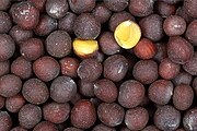 Black Mustard seeds close-up