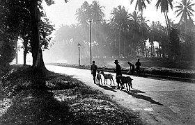 La Jacatraweg (aujourd'hui Jalan Pangeran Jayakarta) au début du XXe siècle.