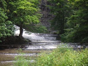 Cascadilla Creek, near Ithaca, New York, in the United States, an example of an upland river habitat Cascadilla Creek.jpg