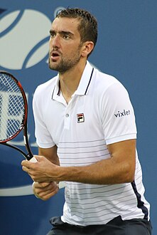 Marin Čilić