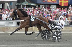 Dijon på Solvalla 2017.jpg