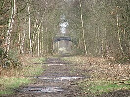 A track leading into the distance, fringed with tress on both sides and with an overbridge