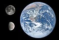 قمر اروپا در مقایسه با کرهٔ زمین و کرهٔ ماه. اروپا کمی از ماه زمین کوچک‌تر است.